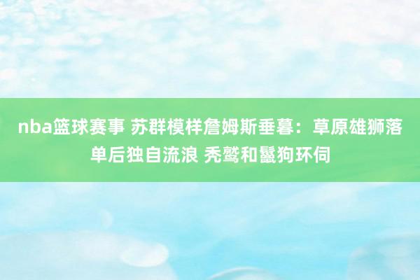 nba篮球赛事 苏群模样詹姆斯垂暮：草原雄狮落单后独自流浪 